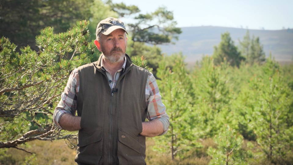 Scottish Forestry film preview